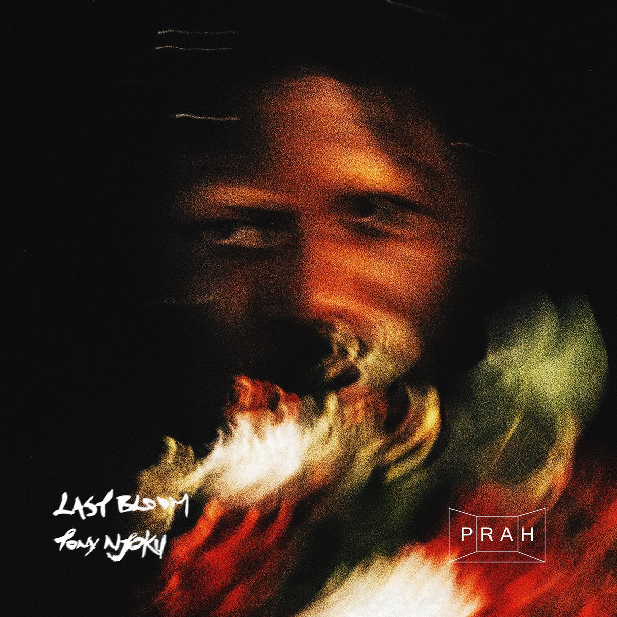 Tony Njoku -Bloom-